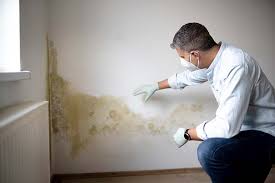 Best Mold Damage Restoration  in Schofield, WI